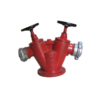 Đầu trụ chữa cháy 2 cửa D65